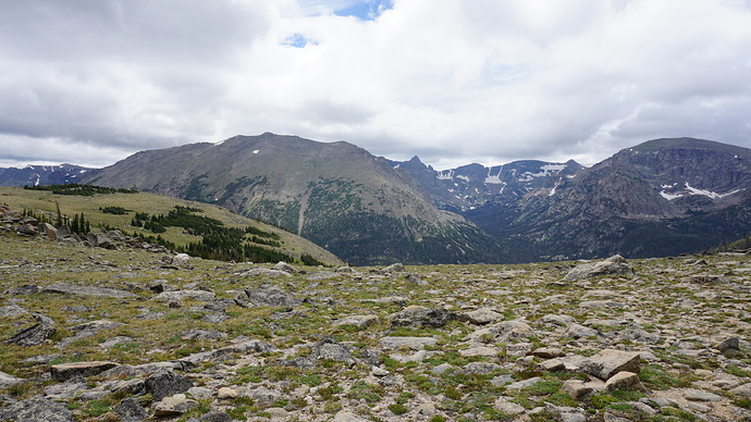 DSC09867