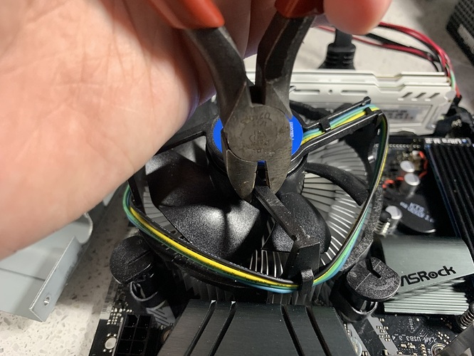 A395AE03-2DB6-485F-BD48-AD9CAA14CFB0_1_105_c